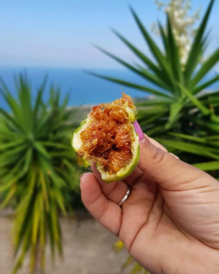 博尼法蒂Azienda Agrituristica La Fonte别墅 外观 照片